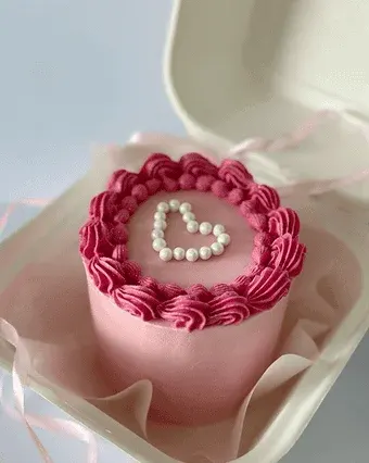 Bento Cake - Max Delights